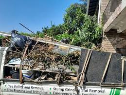 Best Shed Removal  in Hastings, MI